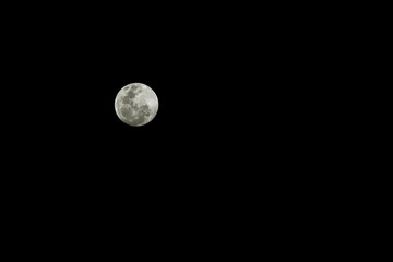 LUNA NUEVA