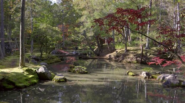 Japanese landscape garden with pond during fall colors