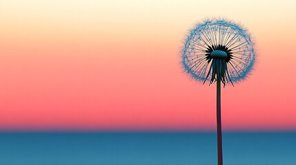 Dandelion silhouette against a sunset in a minimalistic bright tone with modern blurred background and empty blank space for caption
