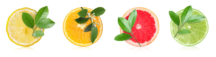 Different citrus fruits and plant branches isolated on white, set