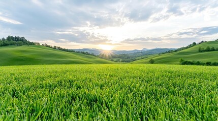 Obraz premium Vibrant green grass field covers rolling hills under a bright sunrise sky in the countryside.