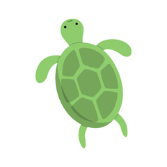 Turtle Ocean Animal Illustration