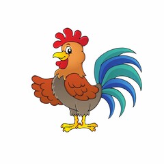 Male rooster isolated on white background.