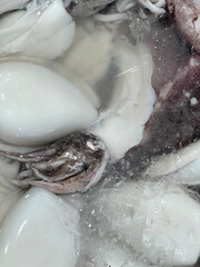 squid in the ice in market