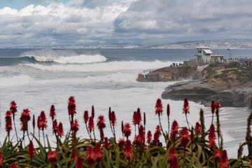 view of La Jolla pacific ocean coast in California