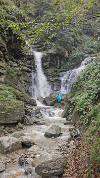 waterfall in the forest