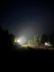 Fototapeta premium Russian Forest in Karelia Republic