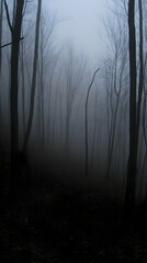 Fototapeta premium Misty forest path, winter scene, background trees