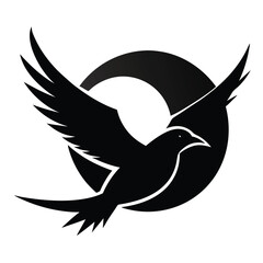 Obraz premium A bird in front of the sunlight seems to be taken with a camera.