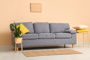 Stylish grey sofa, houseplant and coffee table near beige wall