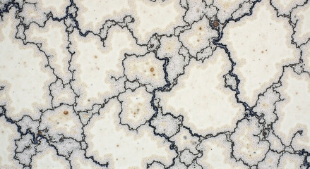 Obraz premium old texture, texture, wall, cracked, crack, dry, old, drought, abstract, pattern, surface, land, earth, ground, grunge, textured, concrete, stone, desert, soil, marble, rough, cracks, nature, white, p