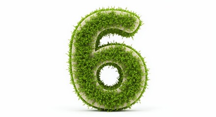 Green Grass Number Six Digit Shaped Plant
