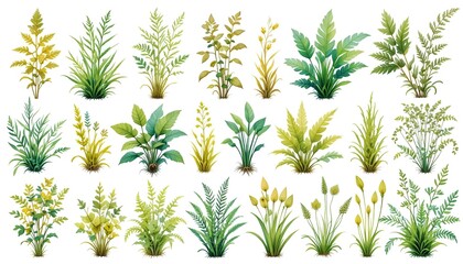 Various plant images, leaf background images
