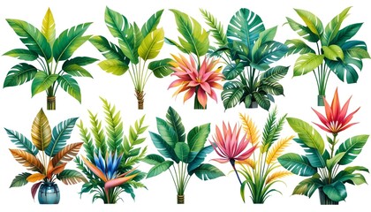 Various plant images, leaf background images
