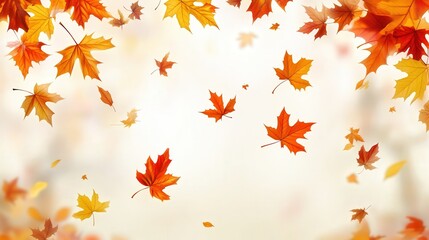 autumn maple leaves floating down, creating a peaceful and seasonal atmosphere that celebrates the beauty of autumn foliage
