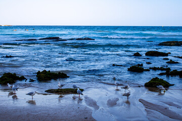 Stunning view of the ocean from Bondi Beach, Sydney. Captures the vibrant blues of the sea and the rugged beauty of Bondi�s unique rock formations. A picturesque Australian seaside scene.