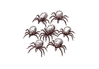 mites hand drawn Illustration Sketch Vector Isolated