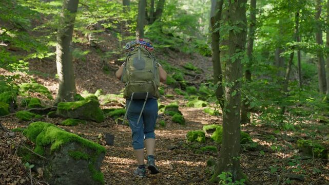 Parallax movement of backpacking hiker walking in a mossy forest surrounded by nature in slow motion, Germany