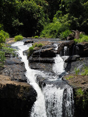 tchupala falls in the queensland rainforest