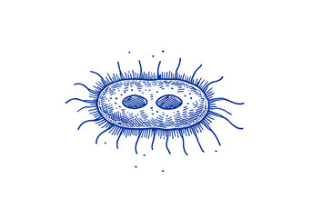 Protozoa hand drawn Illustration Sketch Vector Isolated