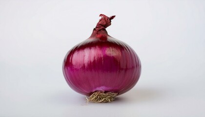 Single red onion on white background.