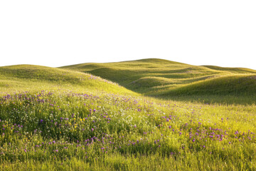 Fototapeta premium Gentle rolling hills covered in vibrant green grass and wildflowers under a clear blue sky, embodying the beauty of nature in a serene landscape.