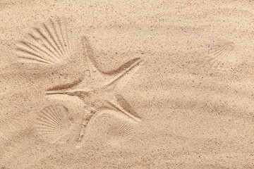Prints of seashells and starfish on beach sand