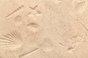 Prints of seashells and starfishes on beach sand