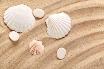 Beautiful seashells on sand with lines