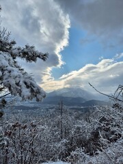 눈이 내린 겨울산의 풍경
