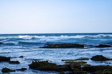 Stunning Bondi Beach, Sydney, with rocks covered in green moss and vibrant, splashing waves. A picturesque coastal scene capturing the essence of Australia's iconic shoreline.