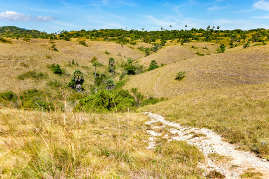 Walking trail, Island Rinca, Komodo National Park, Flores, Indonesia, Southeast Asia.