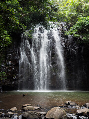 beautiful ellinjaa falls in the queensland rainforest