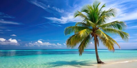A tranquil palm tree stands tall amidst the swaying coconut trees and turquoise waters of a tropical beach, lush vegetation, relaxing atmosphere