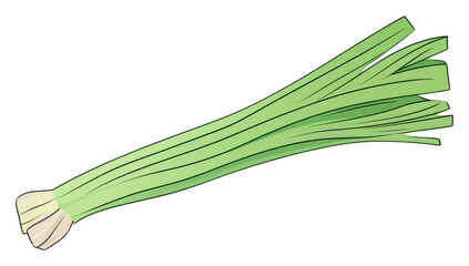 Fototapeta premium PNG Leek vegetable food line.