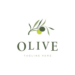 simple olive logo design olive fruit plant symbol of beauty and spa business brand template