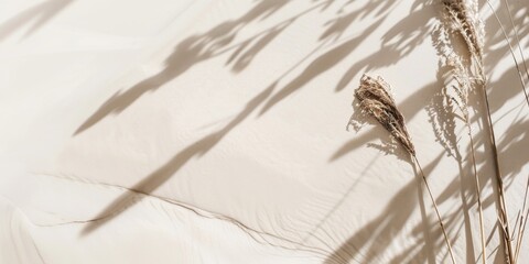 Obraz premium A minimalist aesthetic featuring a light sand backdrop, Minimalist design elements arranged symmetrically, Modern minimalist style