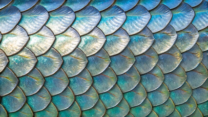 fish scales Material