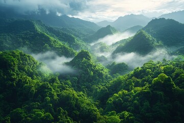 Obraz premium Aerial View of Lush Tropical Rainforest and Winding Rivers in Vibrant Green Landscape