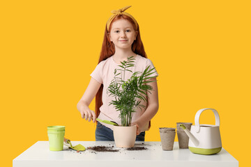 Teenage girl transplanting plant at table on yellow background