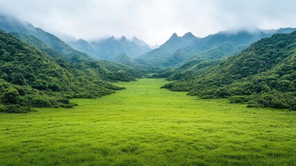 Fototapeta premium Lush green valley, misty mountains, tranquil landscape, nature scene, travel poster