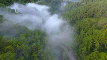 Dramatic Drone view of highway in the middle of forest and trees among hills with thin mist in the morning