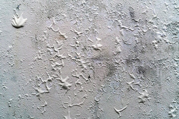 The blistered surface of cement wall. Swollen color wall from the moisture. Cracked wall, Paint...