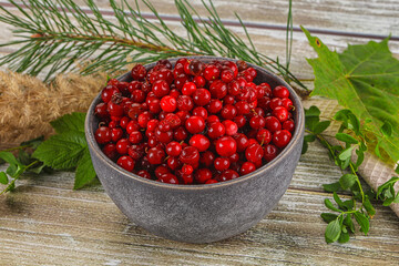 Natural organic wild forwst lingonberry