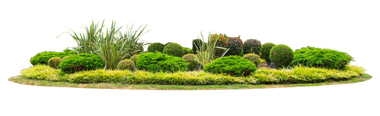 Flowerbed with ornamental plants creating a beautiful garden decoration