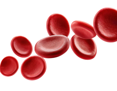 Flowing red blood cells isolated on solid white background