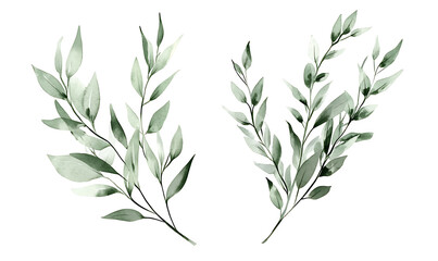 Fototapeta premium Flowers and leaves in pictures illustrator2D