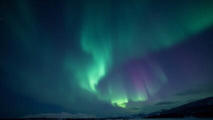 A breathtaking night sky filled with auroras borealis in shades of green and violet, illuminating the stars.
