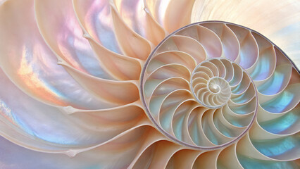 spiral background