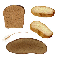 Hand drawn Bread Slices clip art